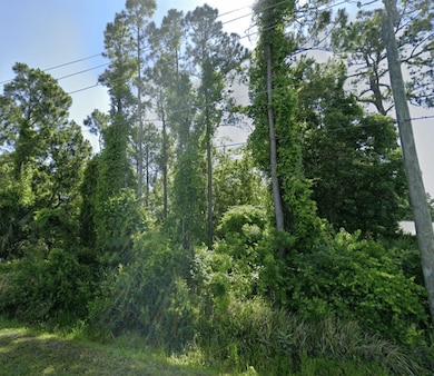 0 Dobbs Rd unit 255110, Saint Augustine, FL 32086 - photo 3