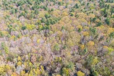 00 Leavitt Ln, Strafford, NH 03884 - photo 4