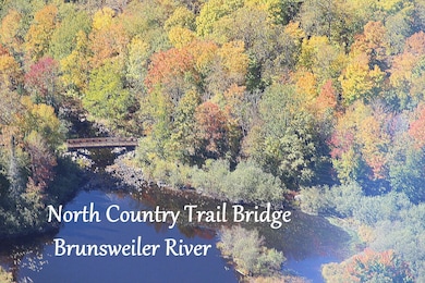 63999 Wolanek Rd unit 313 acres, Marengo, WI 54855 - photo 6