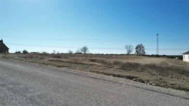 217 Latigo Way, Weatherford, TX 76088 - photo 6