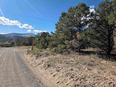 555 Arapaho Rd, South Fork, CO 81154 - photo 3