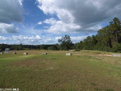 0 Crepemyrtle Ct unit 261101, Mobile, AL 36693 - photo 4