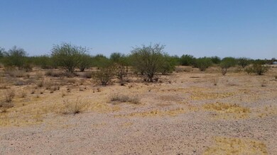 LAND PIC 4