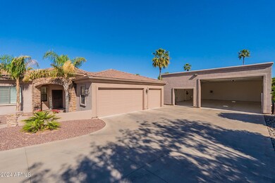 3-web-or-mls-Hackamore-3