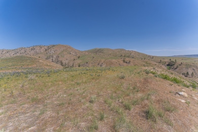 2830 Antoine Creek (Lot B) Rd, Chelan, WA 98816 - photo 2