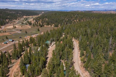 104-Swains Creek