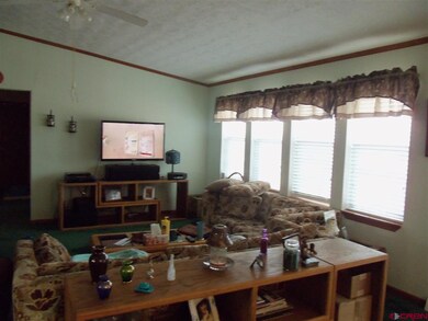 0 Montezuma Rd unit 725736, Fort  Garland, CO 81133 - photo 6