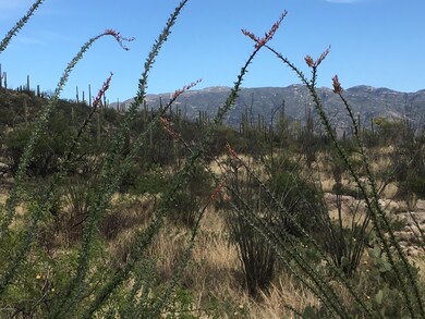Rinconado Estates Lot 1