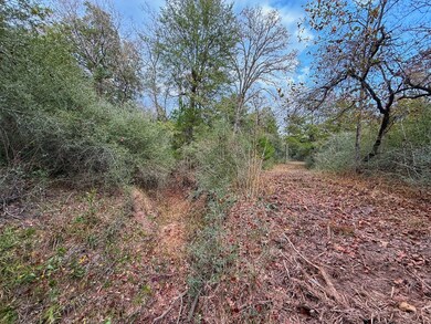 13 ac Highway 75 N, Buffalo, TX 75831 - photo 4