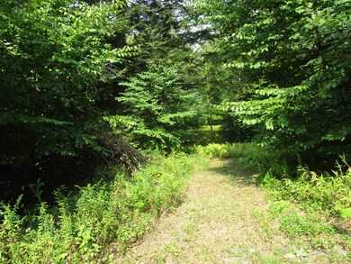 If you go to the left and follow this path you will see where you will need a wetland crossing (there are logs going over it right now) to get to the private deeper into the property location.
