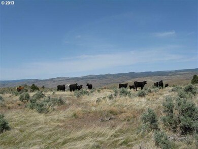 0 S Fork Rd unit 13548705, John Day, OR 97825 - photo 3