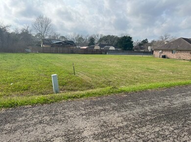 217 Silverleaf Rd, Sweeny, TX 77480 - photo 6