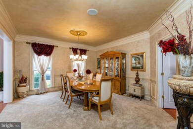 5133 Pleasant Forest Dr, Centreville, VA 20120 - photo 6