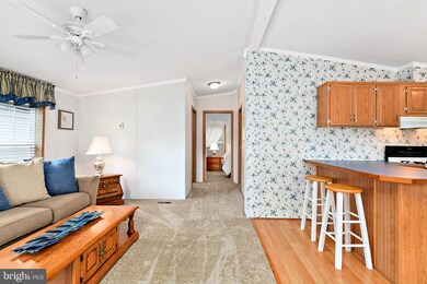 202 Timberline Cir, Berlin, MD 21811 - photo 7