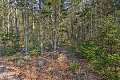 Lot for Sale