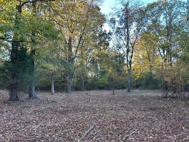 Franklin Dr, Batesville, MS 38606 - photo 7