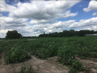 Lot 1 Koppie Rd, Gilberts, IL 60136 - photo 4