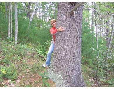 Land/Lot. Mature tree growth can be...
