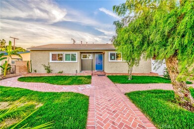 New sod and sprinker system Nov 2018.