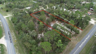 912 Bird Pond Rd, Steinhatchee, FL 32359 - photo 4