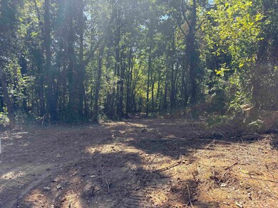 0 Bethuel Rd unit Lot 5, Unincorporated, TN 38053 - photo 3