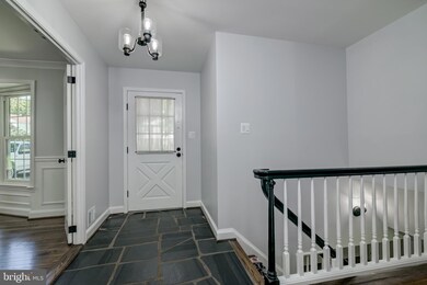 12811 Camellia Dr, Silver Spring, MD 20906 - photo 5