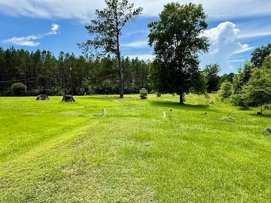 496 Roberts Rd, Noxapater, MS 39346 - photo 4