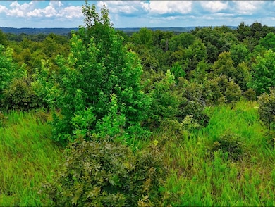 0 Shores Trail unit RTC3000429, Stewart, TN 37175 - photo 7