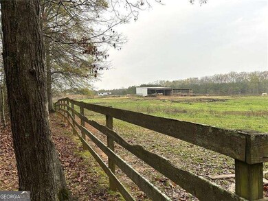 2930 Highway 113, Carrollton, GA 30117 - photo 4