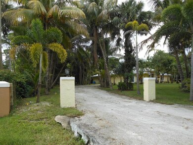 Pea Grave Driveway