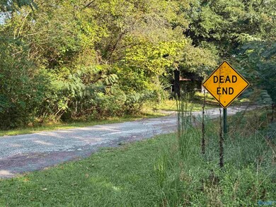 35 County Road 753, Piedmont, AL 36272 - photo 5