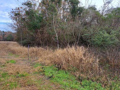 01 Muldoon Dr, Summerton, SC 29148 - photo 2