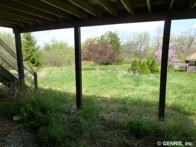 Yard/Garden