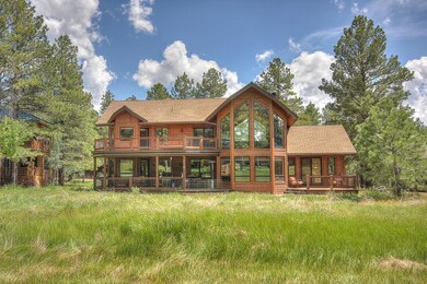 4Backyard1