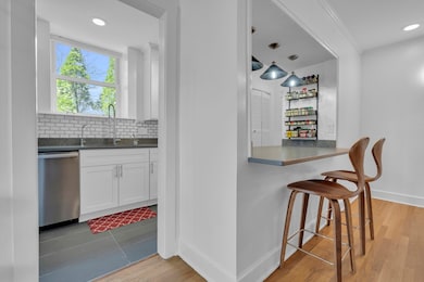 232 Summit Ave unit A1, Brookline, MA 02446 - photo 6