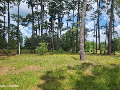 63 Windsor Cir SW, Ocean Isle Beach, NC 28469 - photo 6