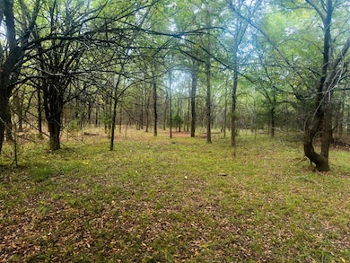 View of woods