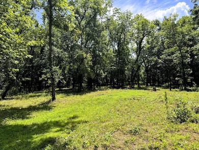 000 Wilderness Way, Anderson West Township, MO 64831 - photo 6