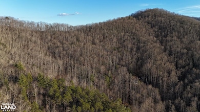 00 Early Deitz Rd, Sylva, NC 28779 - photo 2