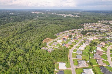DJI_0355