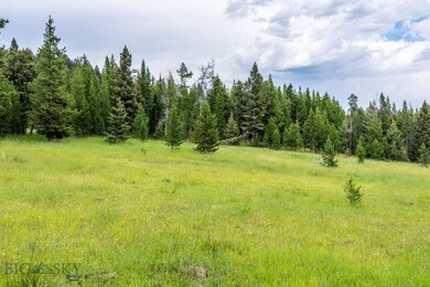 155 Seclusion Point Fork, Big Sky, MT 59716 - photo 7