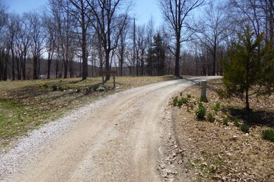 Driveway pic