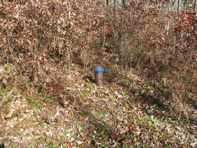 IMG_0662_resized (1)