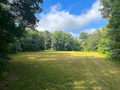 View of green lawn with a wooded view