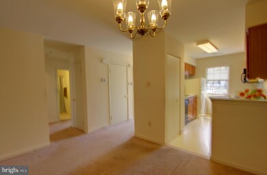 9262 Cherry Ln unit 39, Laurel, MD 20708 - photo 4