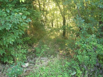 1407 Hoophole Rd, Lawrenceburg, KY 40342 - photo 3