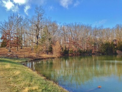 LAKE FRONTAGE 2 LOTS