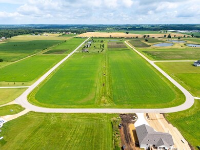 Lot 56 Blarney Stone Dr, Albany, WI 53502 - photo 5