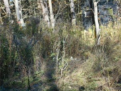 4738 Roszyk Hill Lot #1 Rd, MacHias, NY 14101 - photo 7