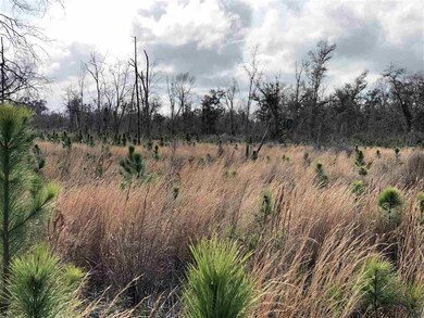 3 Crawfordville Hwy, Crawfordville, FL 32327 - photo 5